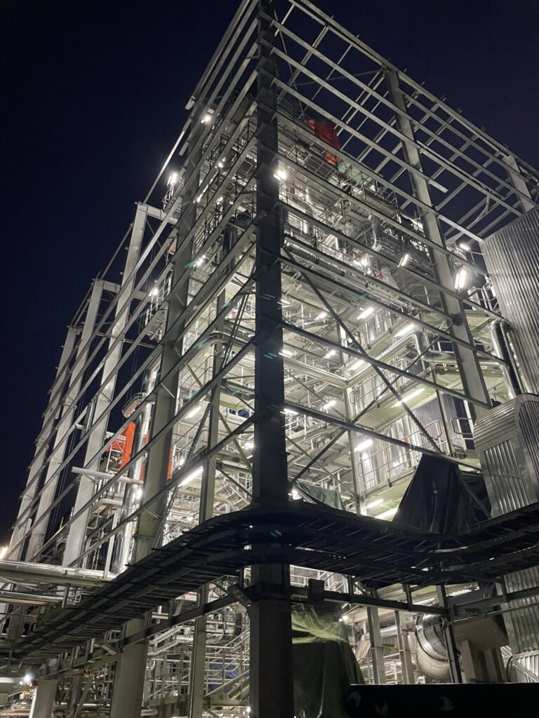 Planta_Guayana Francesa